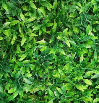 دیوار چمنی (Green Wall) تزئین دکور پلاس